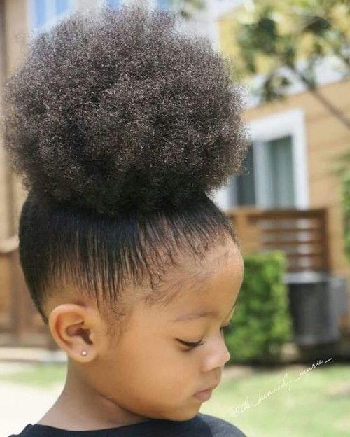 Download African Hairstyle Natural Hair Images