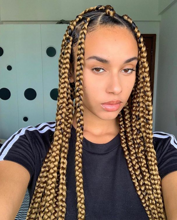Braids Hairstyles 2021 For Ladies Lovely And Beautiful For Ladies