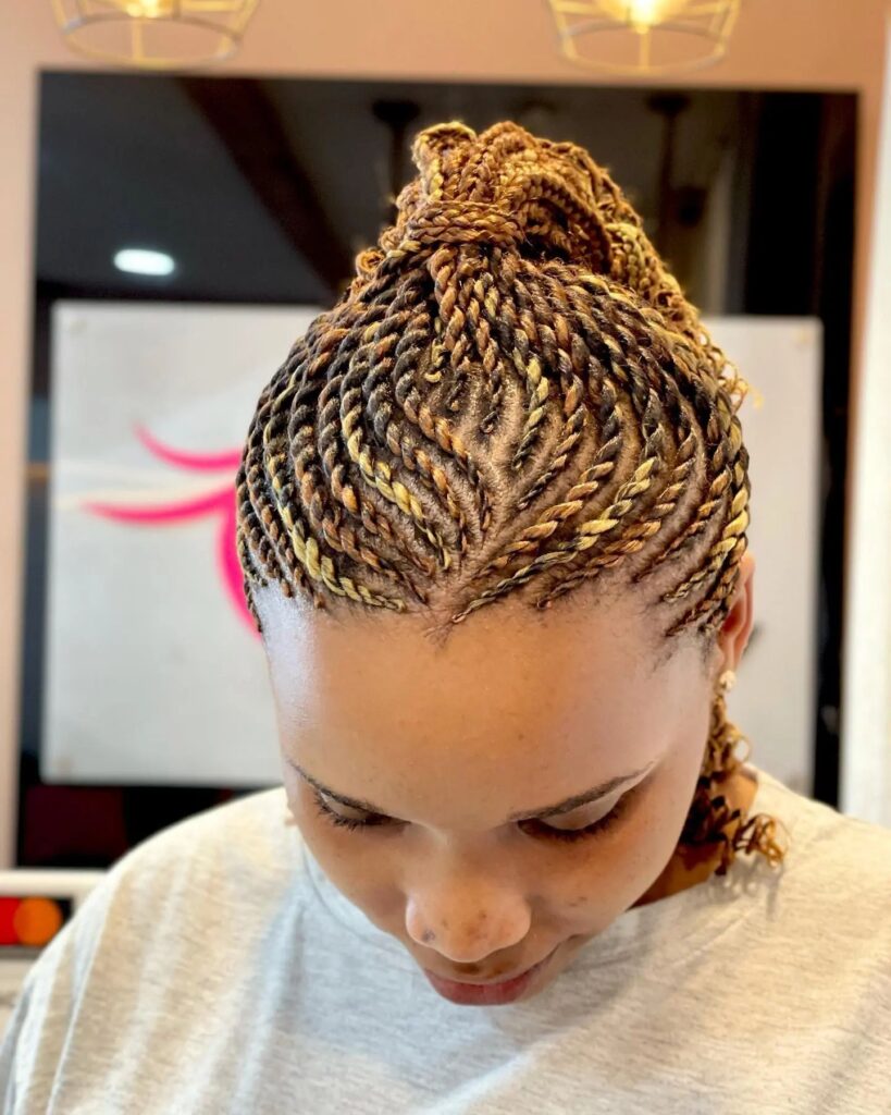 African Hair Braiding Styles for Black Woman Cool Hairstyles For Adults and Kids (8)