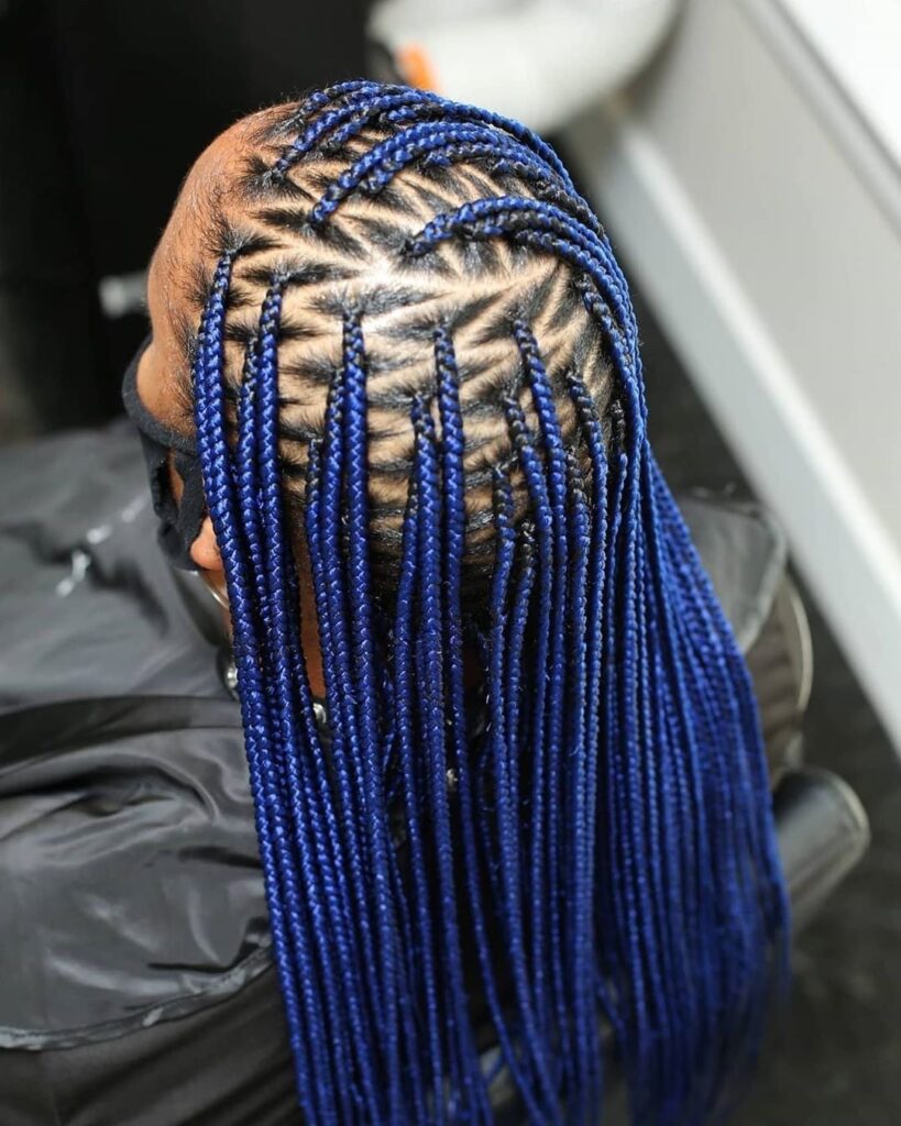 Braids Hairstyles (21)