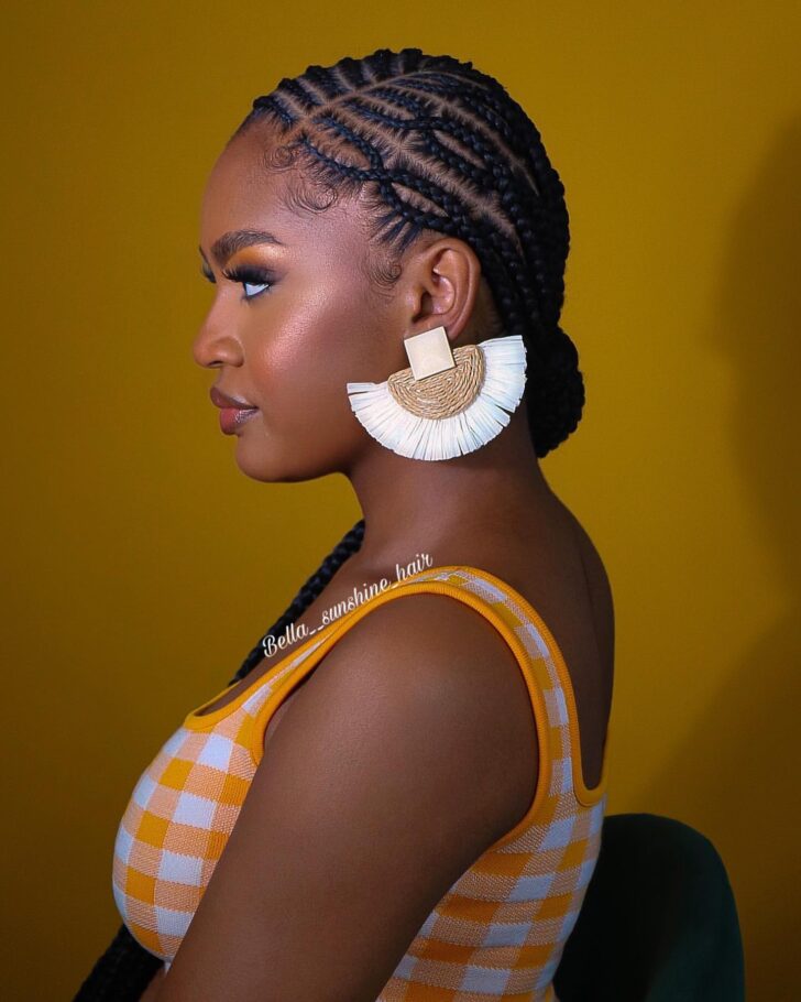 Captivating Hair Creations for Elegant Women Braids Hairstyles for Kids