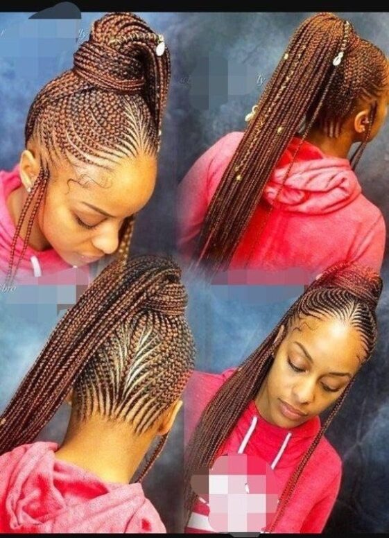 56 Elegant Braided Updos You Need to Try